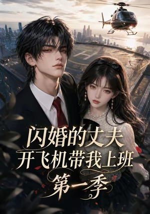 闪婚的丈夫开飞机带我上班第一季（91集）精彩好看的短剧