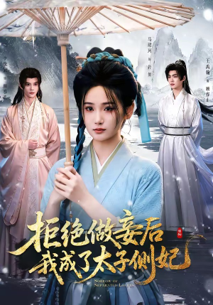 拒绝做妾后我成了太子侧妃＆一纸离人愁（89集）一共多少集