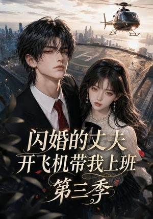 闪婚的丈夫开飞机带我上班第三季（112集）番茄免费短剧