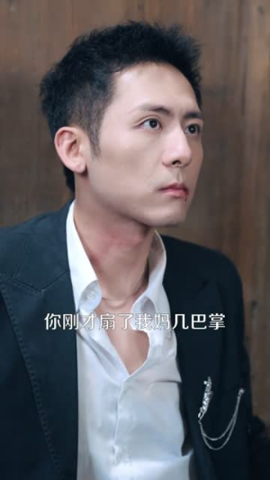 无敌侍卫（77集）好看的短剧