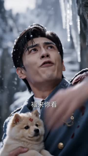 灵犬携福来，旺遍上海滩（80集）温柔追捕短剧