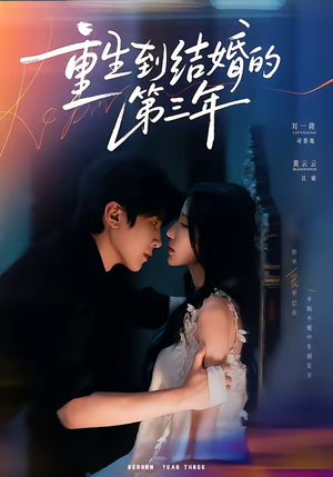 重生到结婚的第三年(73集) 重生到结婚的第三年(73集)口碑爆棚免费看