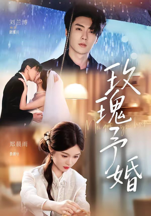 玫瑰予婚（68集）怎么看全集