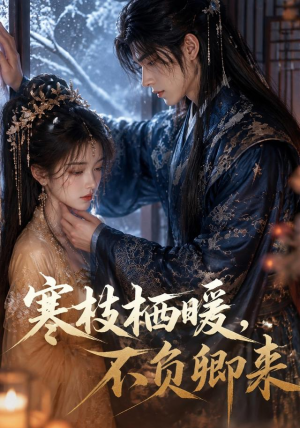 寒枝栖暖,不负卿来(50集) 寒枝栖暖,不负卿来(50集)短剧精彩推荐