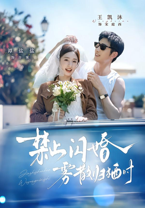 禁止闪婚，雾散归栖时（66集）免费热门短剧