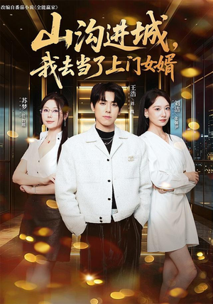 山沟进城，我去当了上门女婿（80集）番茄短剧看全集
