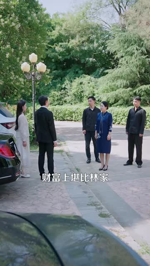透视:让你捡漏你用车拉(103集) 透视:让你捡漏你用车拉(103集)免费热门短剧
