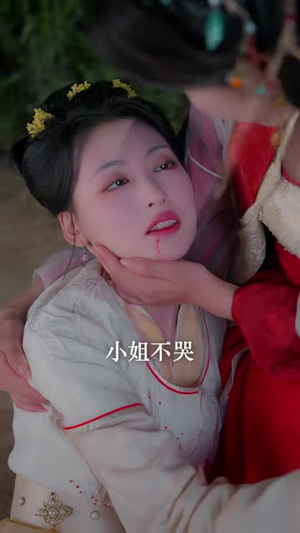 愿我如星卿如月(80集) 愿我如星卿如月(80集)大结局完美收官