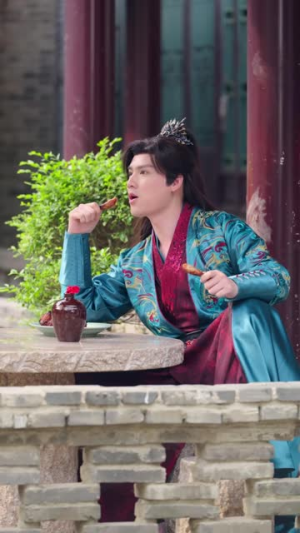 龙图录:绣衣定乾坤(106集) 龙图录:绣衣定乾坤(106集)怎么看全集