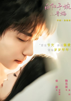 向阳予婉小青梅(72集) 向阳予婉小青梅(72集)百度网盘资源