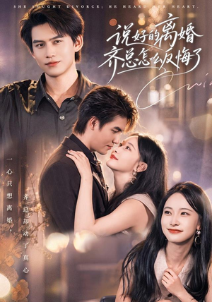 说好的离婚齐总怎么反悔了(40 集) 说好的离婚齐总怎么反悔了(40 集)经典回顾免费看