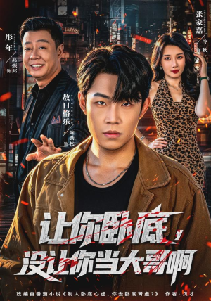 让你卧底,没让你当大哥啊(80 集) 让你卧底,没让你当大哥啊(80 集)追短剧关注我