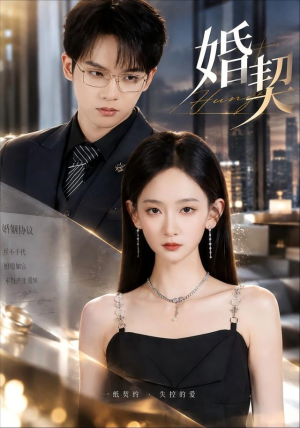婚契(71 集) 婚契(71 集)精彩连连免费看