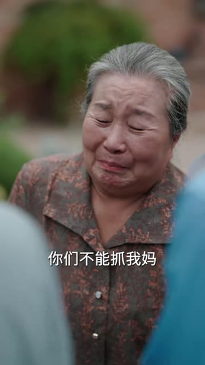 风雨寿宴，向阳重生（41 集）短剧在线更新