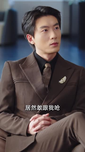 这下真离了(61 集) 这下真离了(61 集)热播短剧全集看