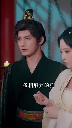 和离后双穿,权臣前夫他急红了眼(82 集) 和离后双穿,权臣前夫他急红了眼(82 集)在线看完整版