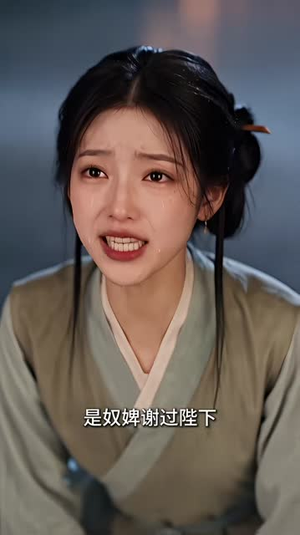 皇家小福星是团宠（300-517集）解说