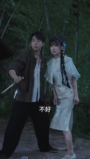 虎祸之阴阳双虎（52 集）每天短剧分享