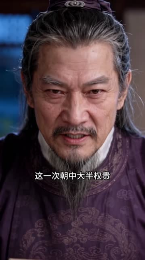 千古第三阳谋5（453-652集）太欢乐了